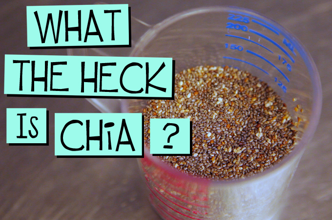 What the Heck is CHIA?!