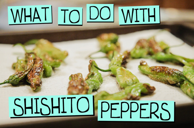 What to do with Shishito Peppers